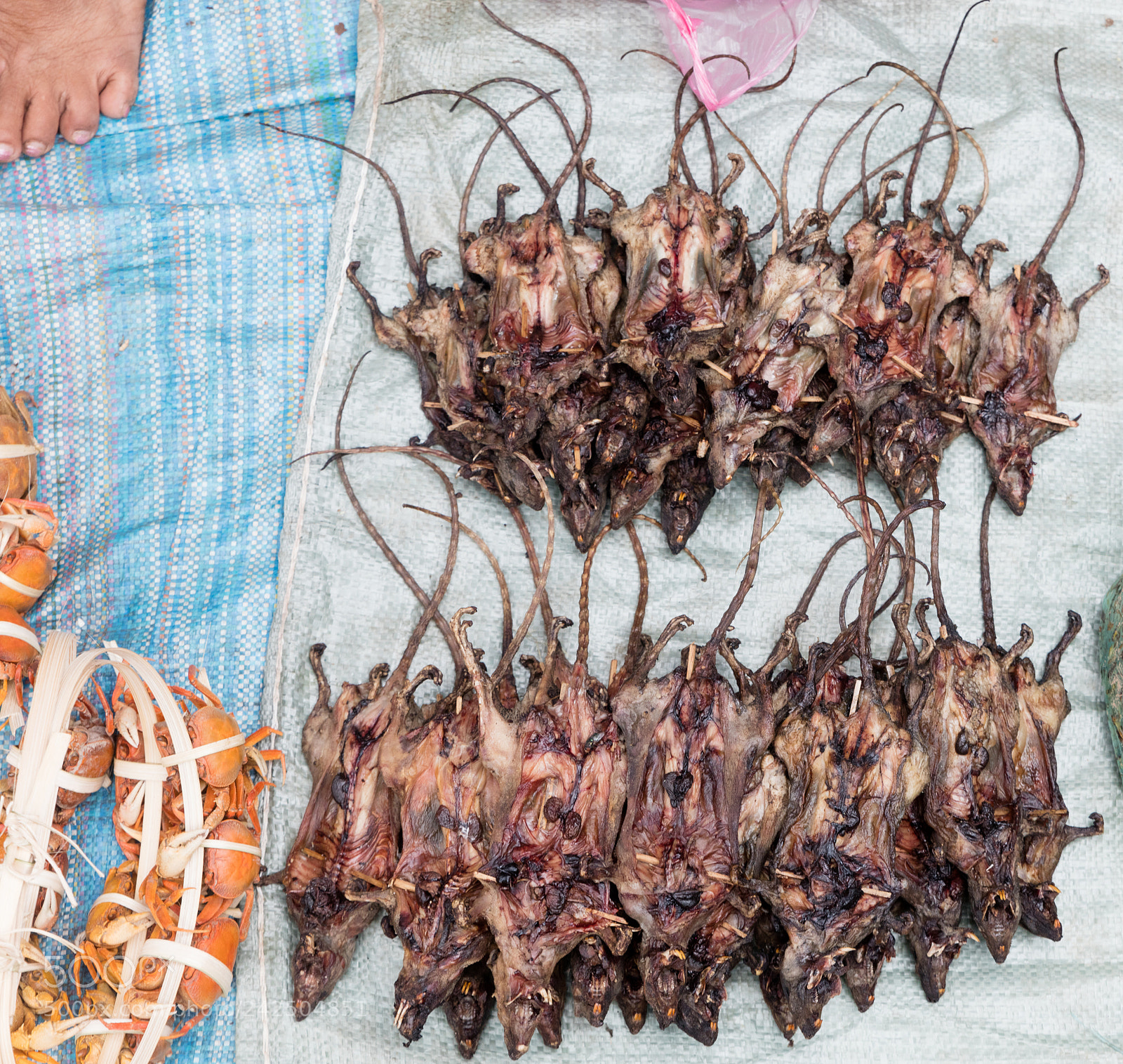 Canon EOS 5DS R sample photo. Roasted rats on  market photography