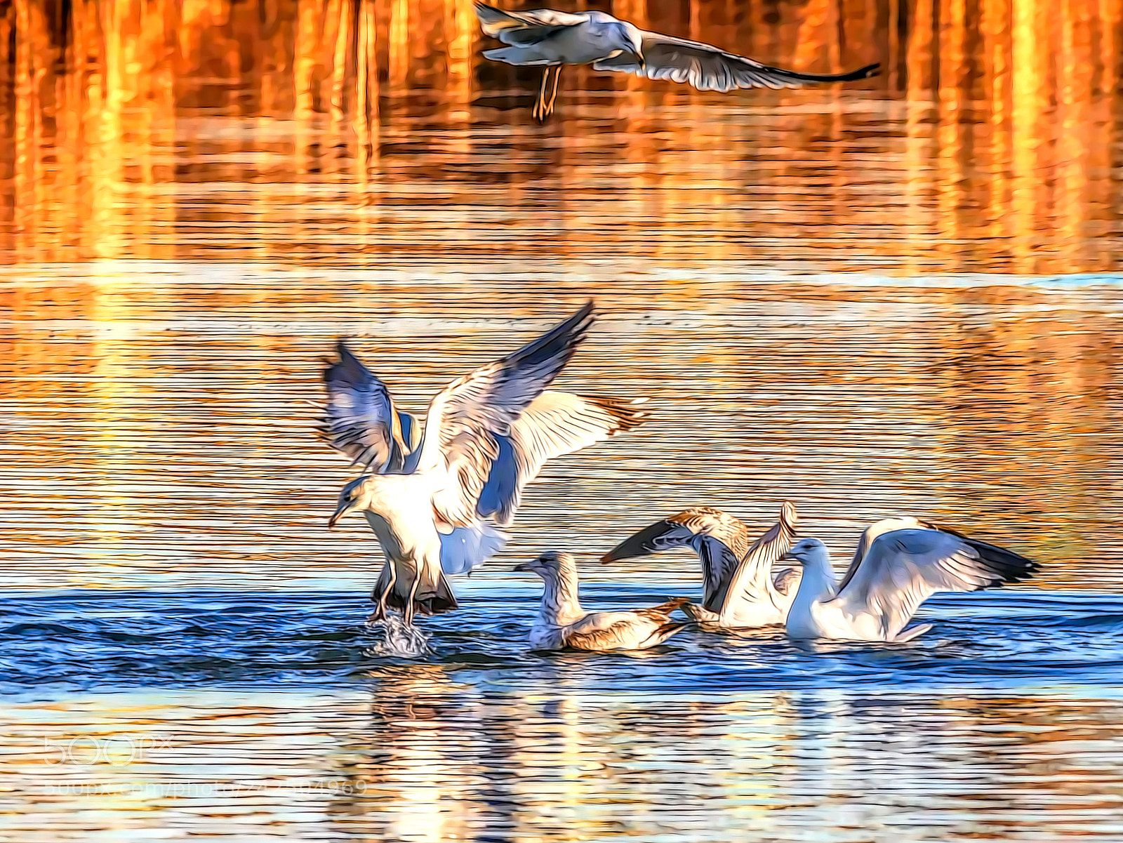 Panasonic Lumix DMC-GX85 (Lumix DMC-GX80 / Lumix DMC-GX7 Mark II) sample photo. Water dance photography