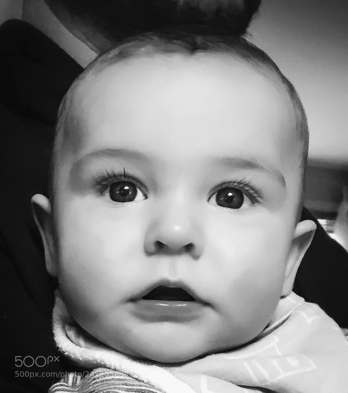 Apple iPhone 7 Plus sample photo. Untitled photography