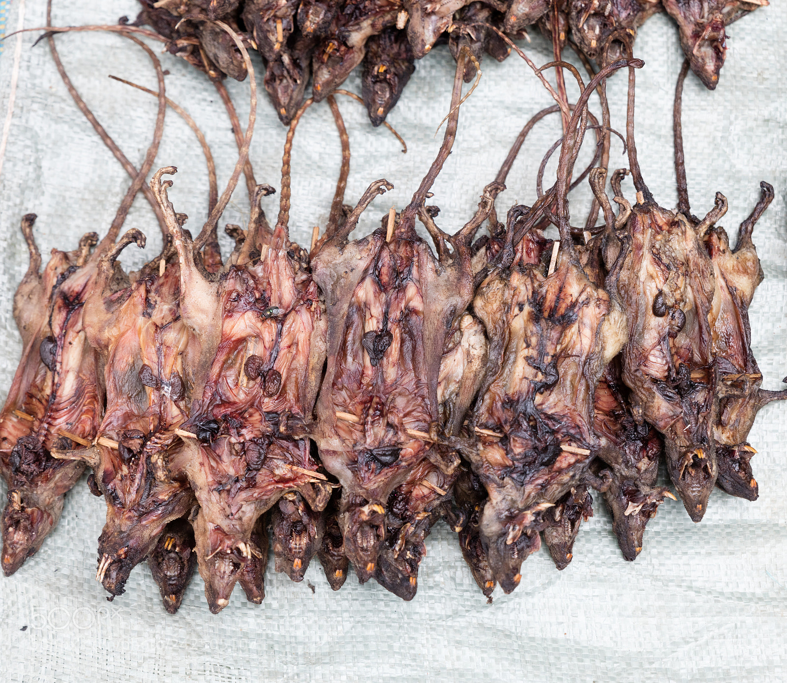 Canon EOS 5DS R sample photo. Roasted rats on  market photography