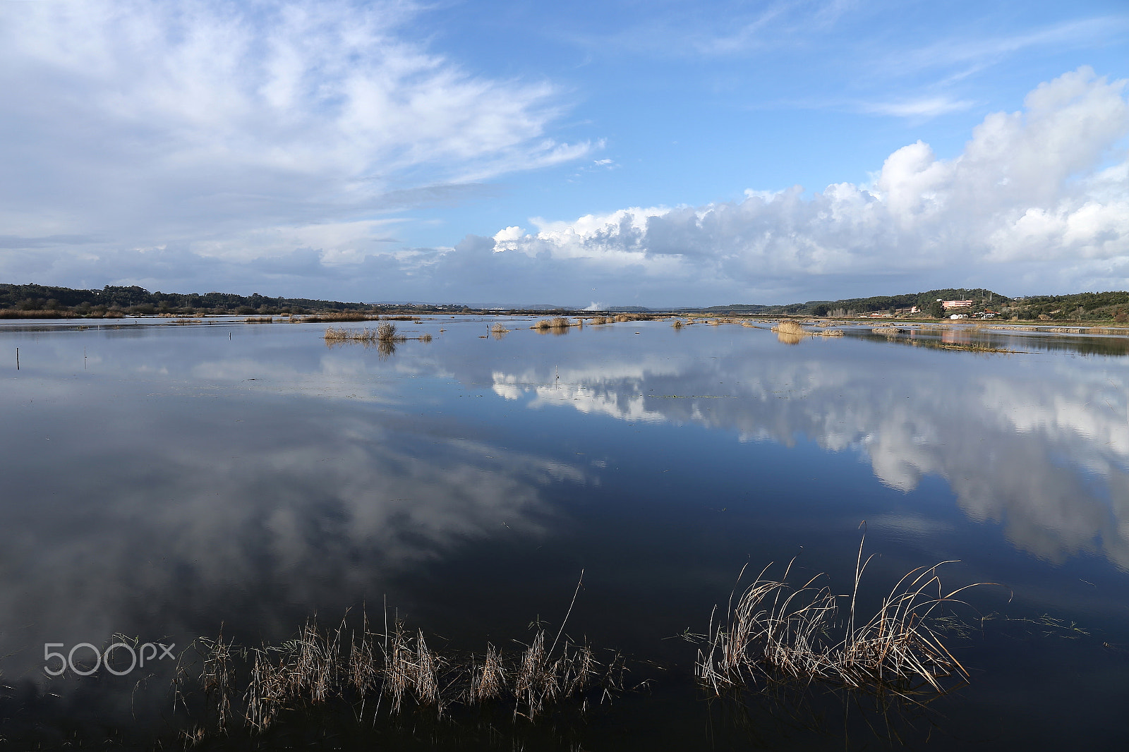 Canon EF 24-105mm F3.5-5.6 IS STM sample photo. Water days photography