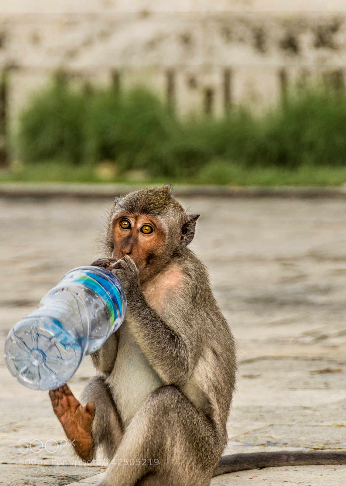 Nikon D600 sample photo. Any water there photography