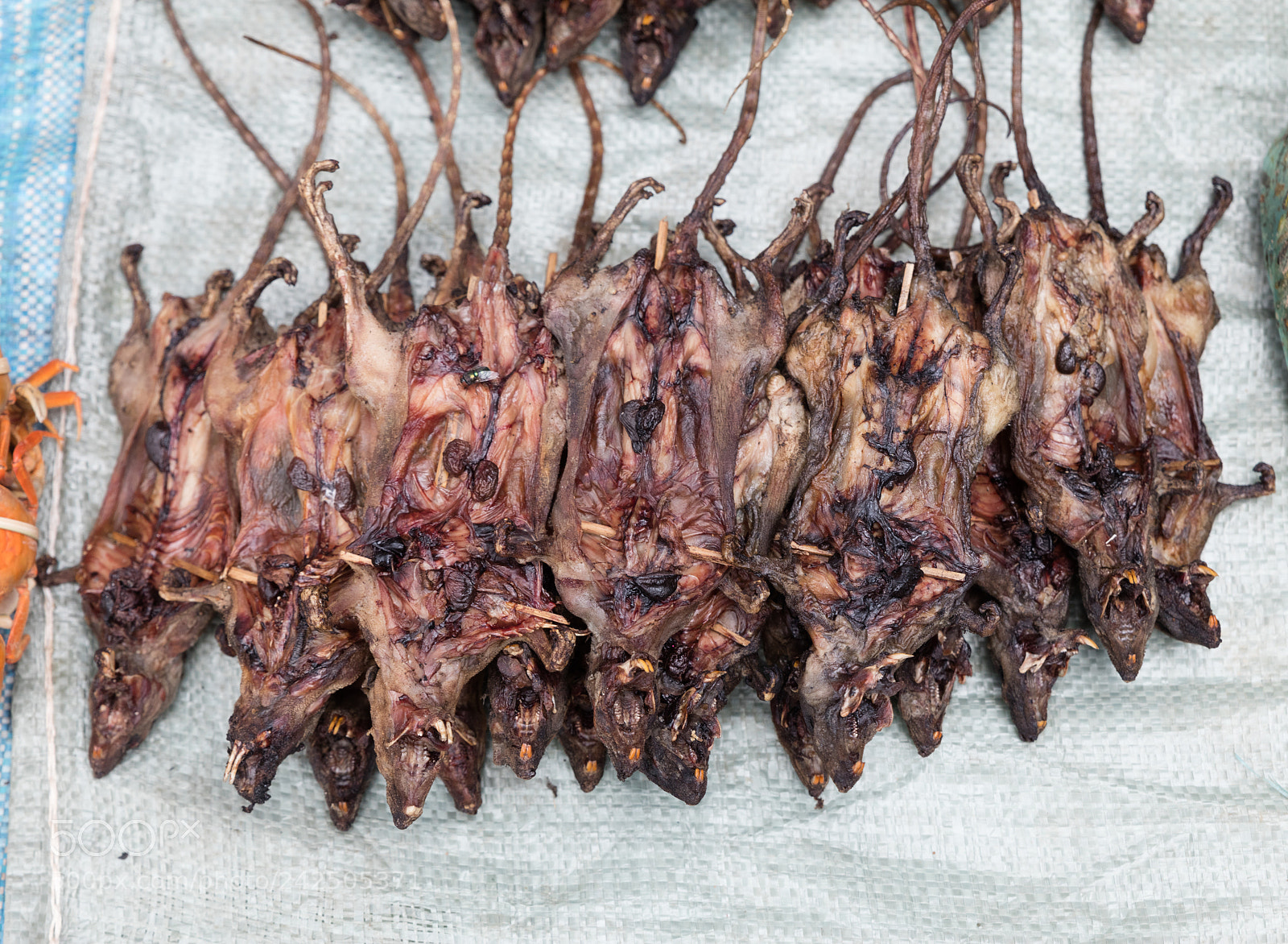 Canon EOS 5DS R sample photo. Roasted rats on  market photography