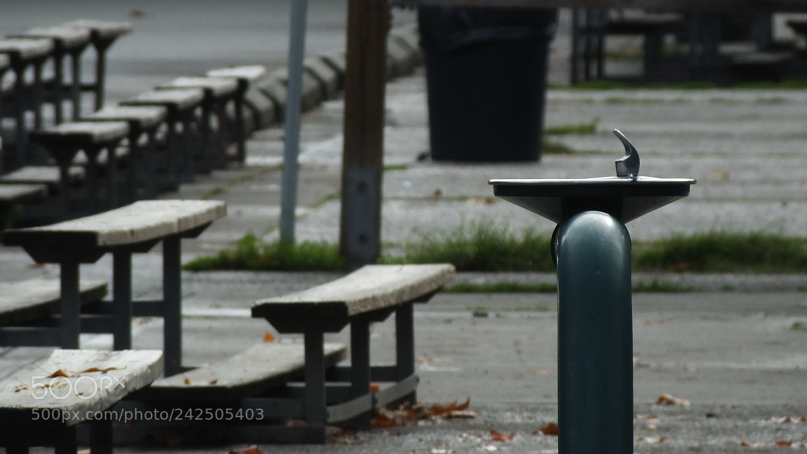 Fujifilm FinePix HS50 EXR sample photo. Who drinks here? photography