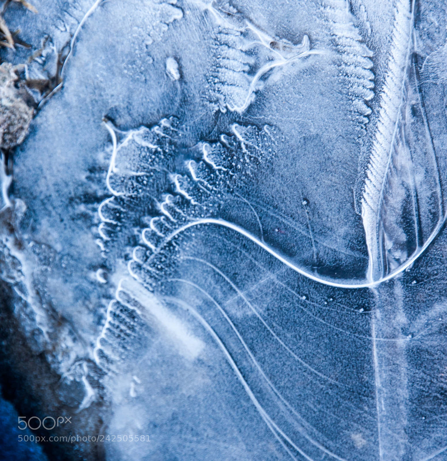 Nikon D90 sample photo. Painted with frost photography