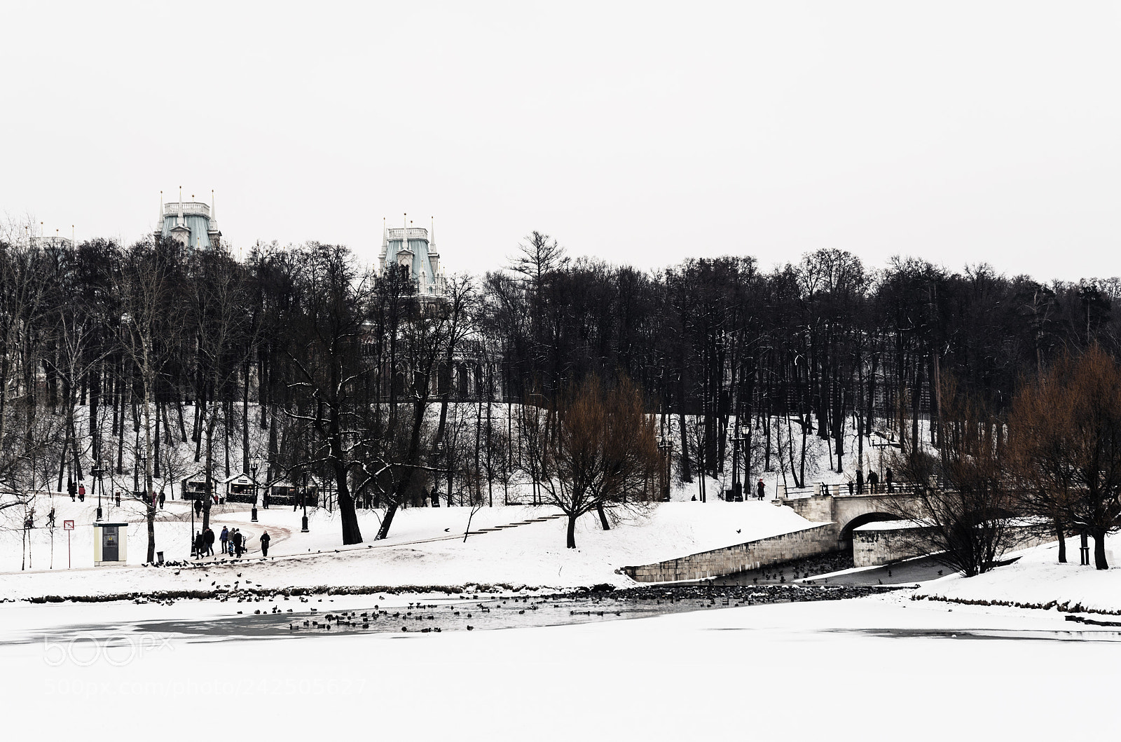 Nikon D5100 sample photo. 258 photography