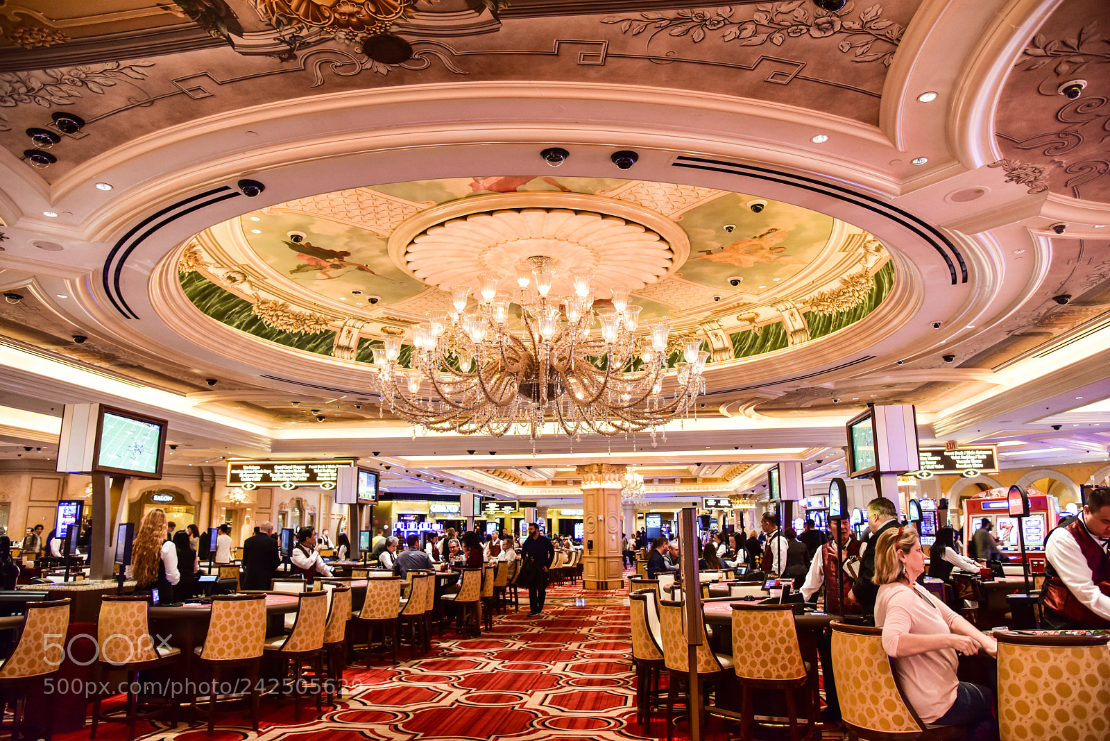 Nikon D810 sample photo. Hotel venetian casino photography