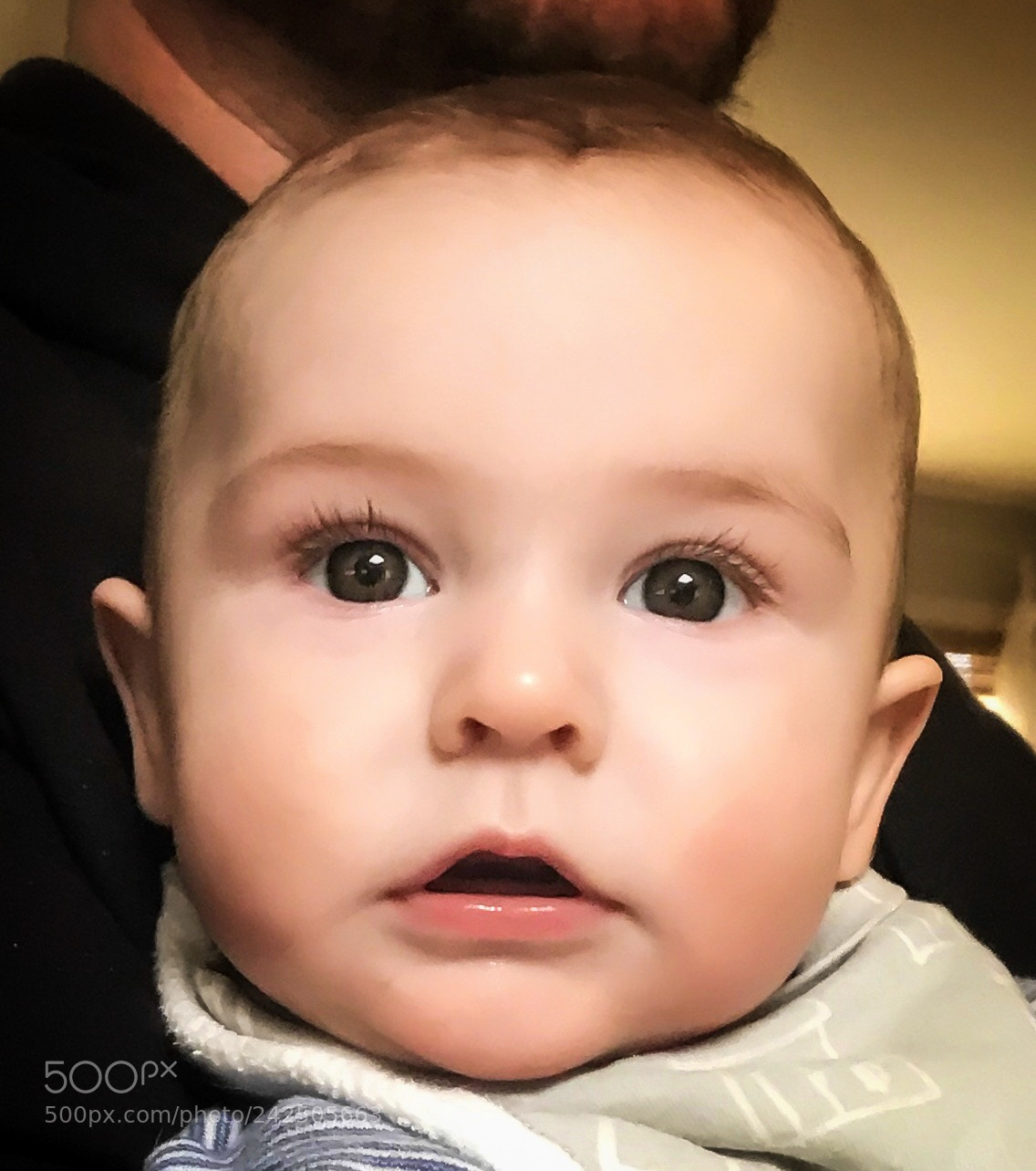 Apple iPhone 7 Plus sample photo. Untitled photography