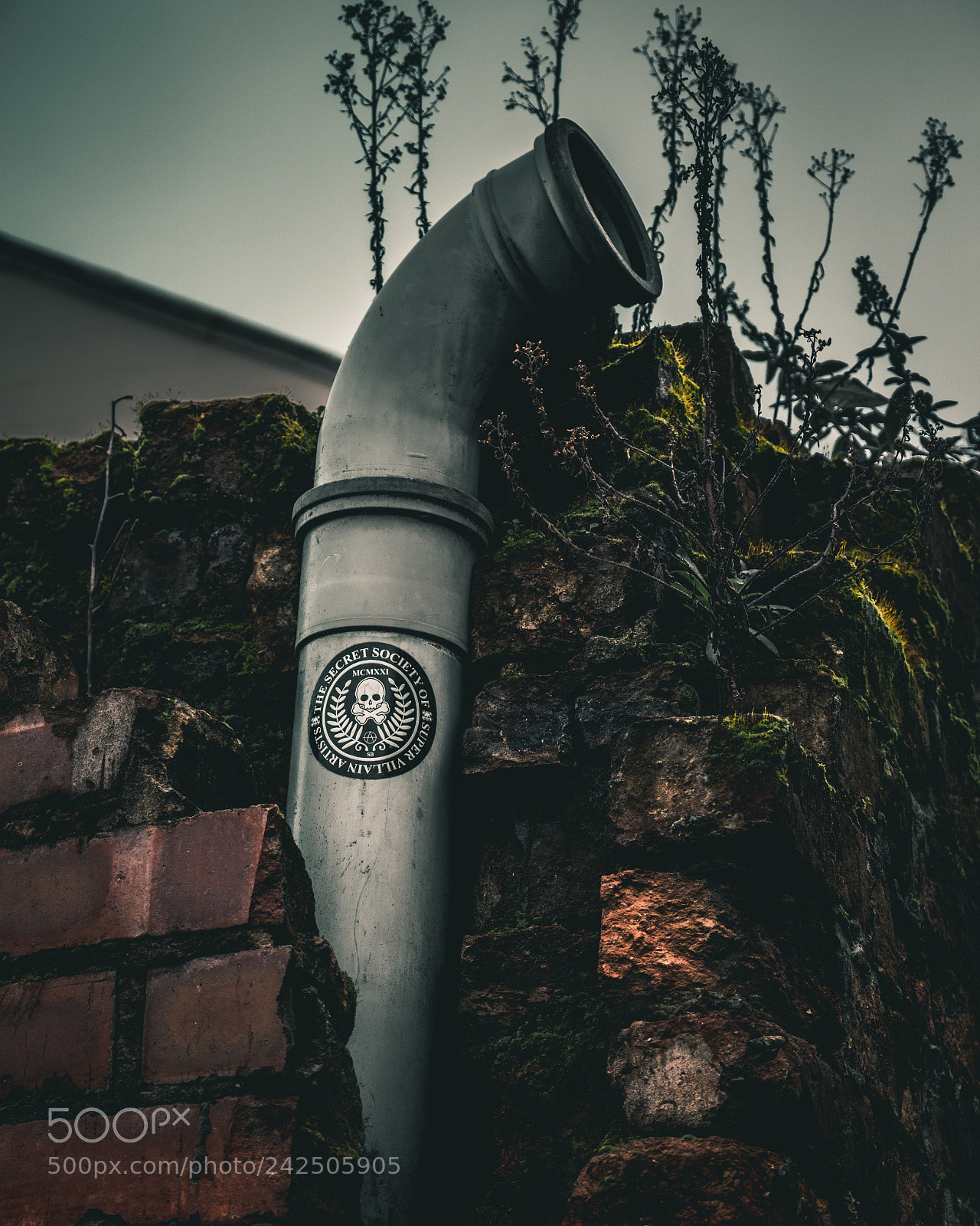 Canon EOS 750D (EOS Rebel T6i / EOS Kiss X8i) sample photo. Super villain artists photography