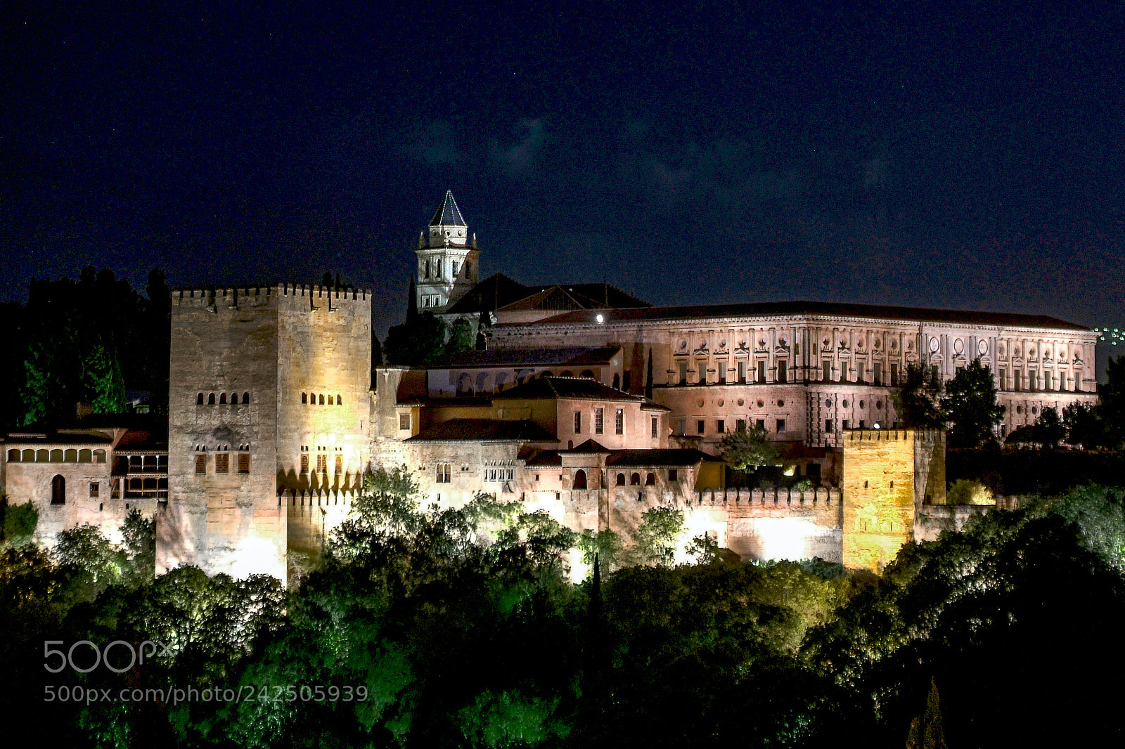 Fujifilm FinePix S3 Pro sample photo. Alhambra by night photography