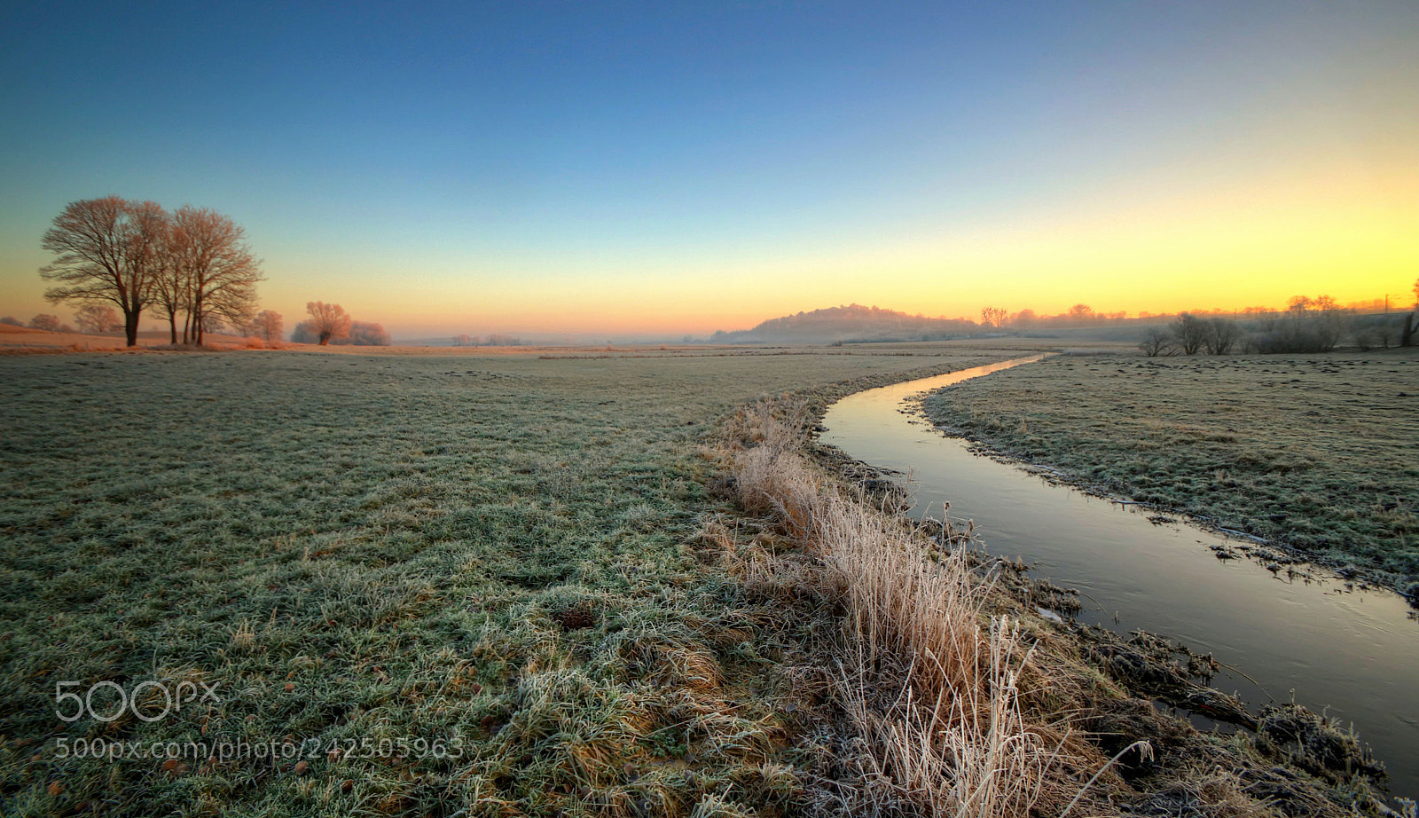 Pentax K-30 sample photo. Frosty morning photography