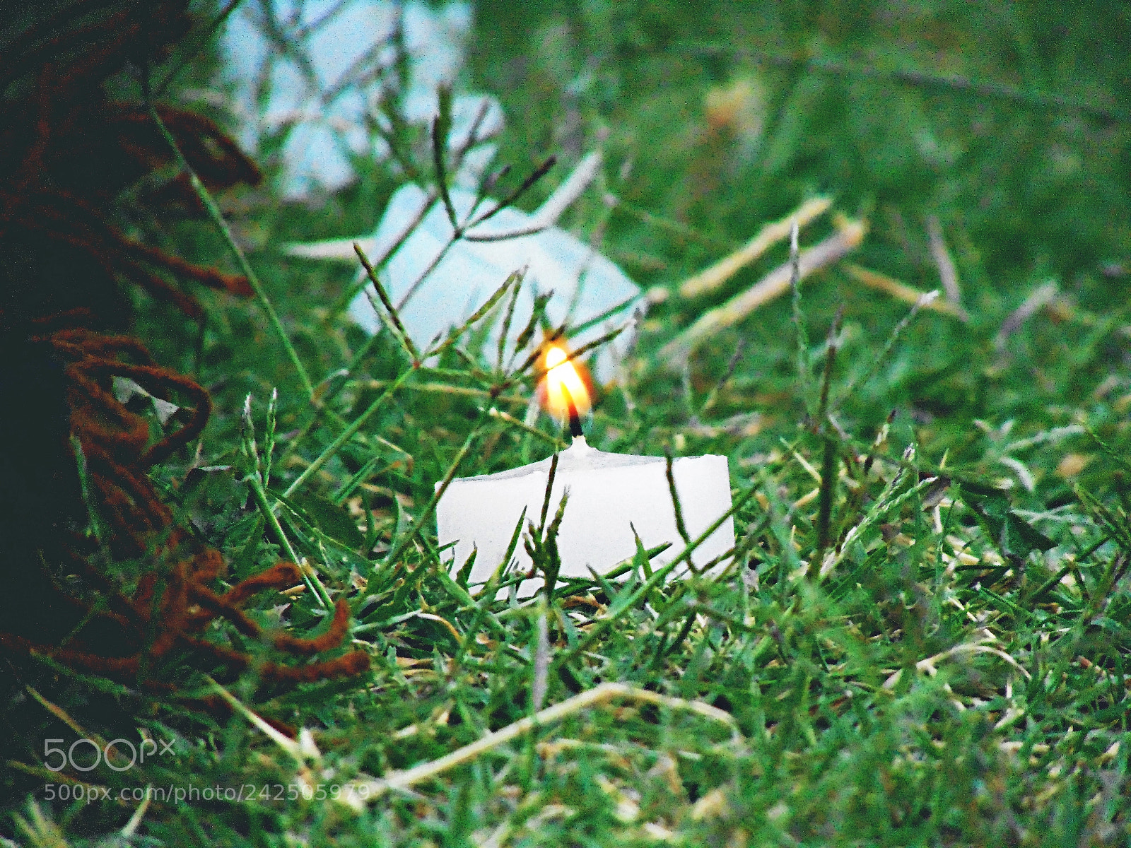 Sony Cyber-shot DSC-H300 sample photo. Candle photography