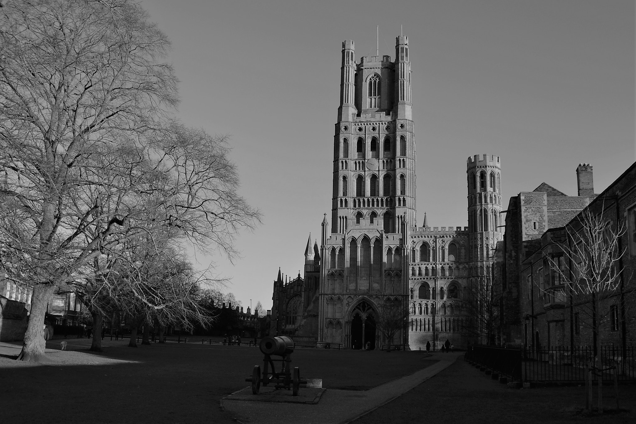 Nikon D3100 sample photo. Shades of ely photography