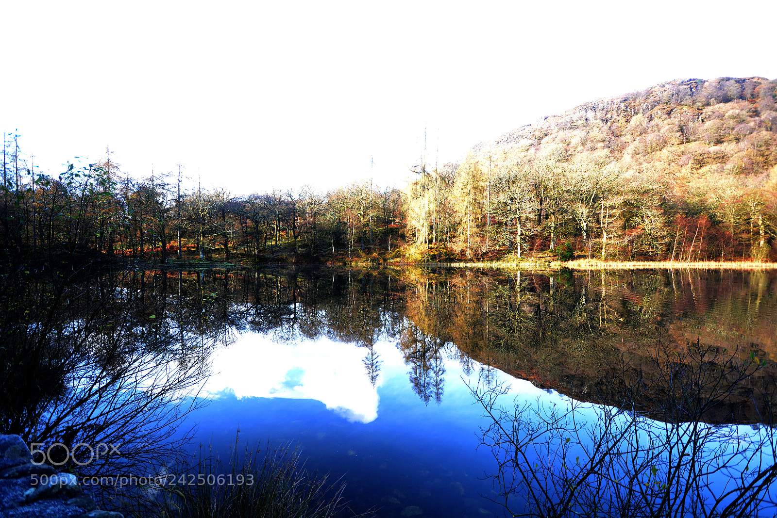 Nikon D7100 sample photo. Pmp_0116-1.jpg photography