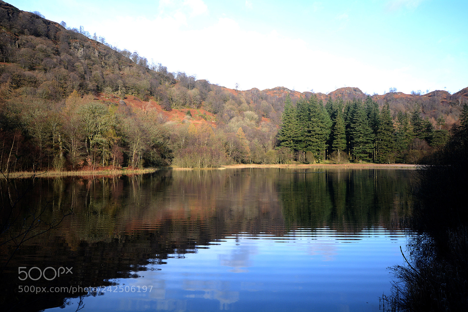 Nikon D7100 sample photo. Pmp_0117-1.jpg photography