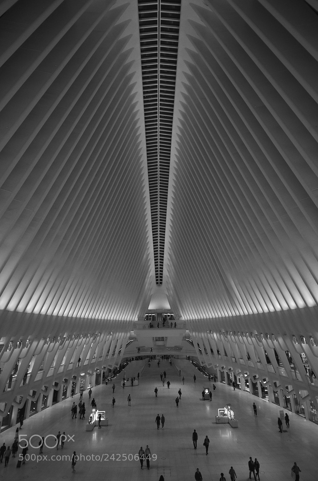 Nikon D5100 sample photo. The oculus photography