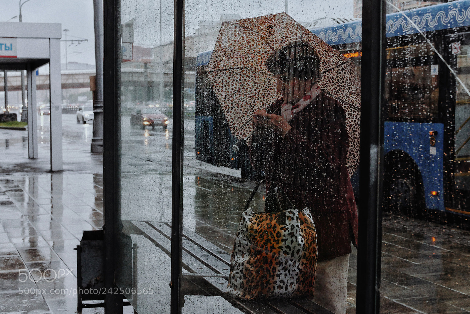 Panasonic Lumix DMC-GX8 sample photo. Leo photography