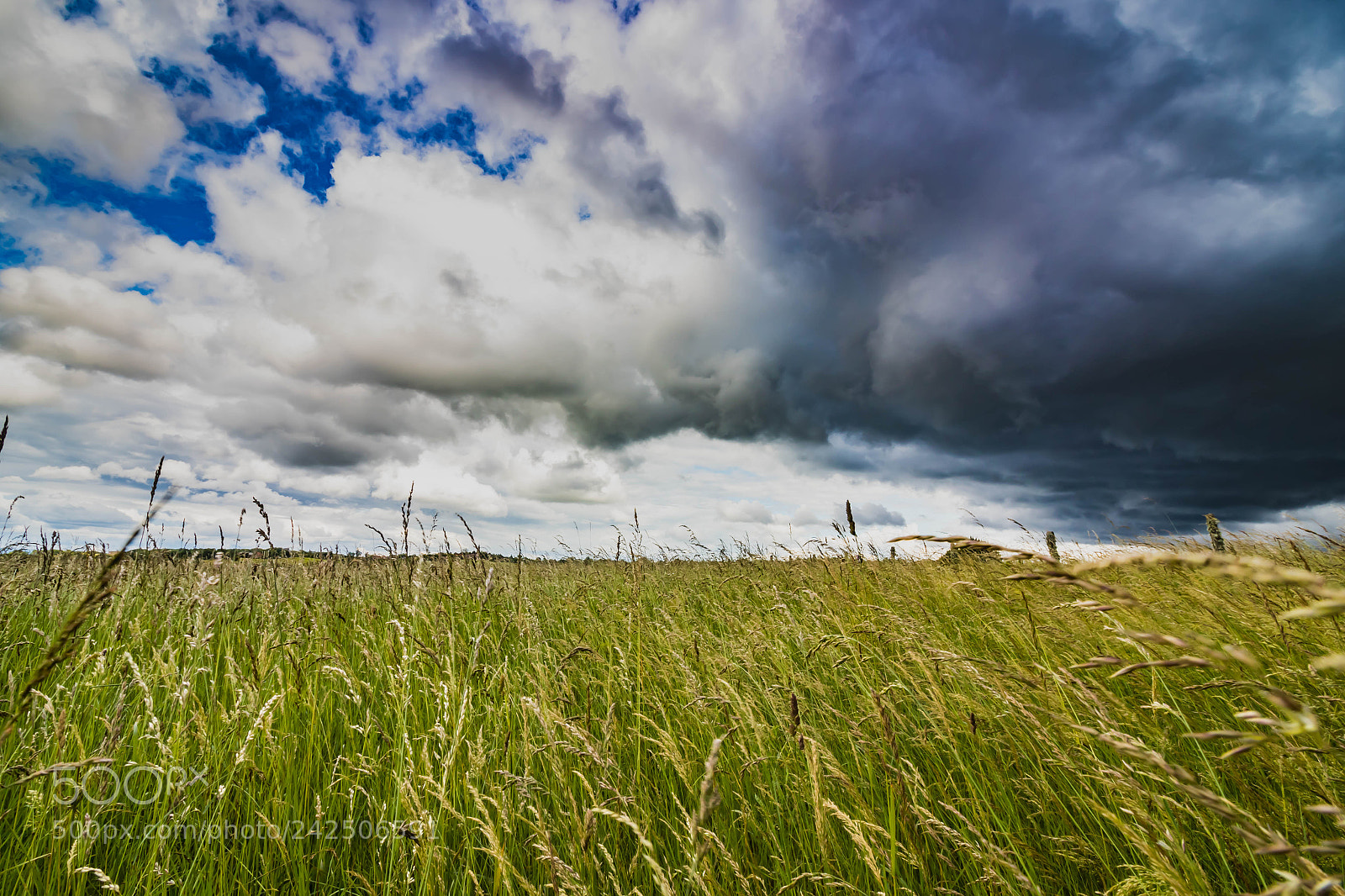 Canon EOS 7D Mark II sample photo. Storm photography
