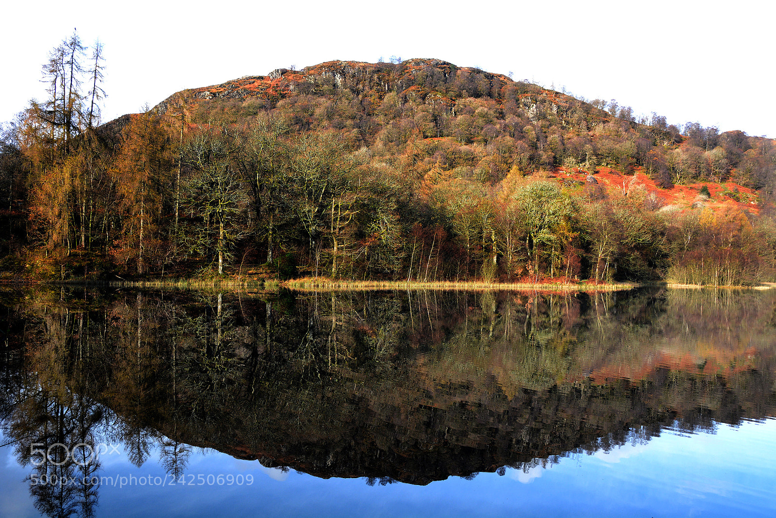 Nikon D7100 sample photo. Pmp_0119-2.jpg photography
