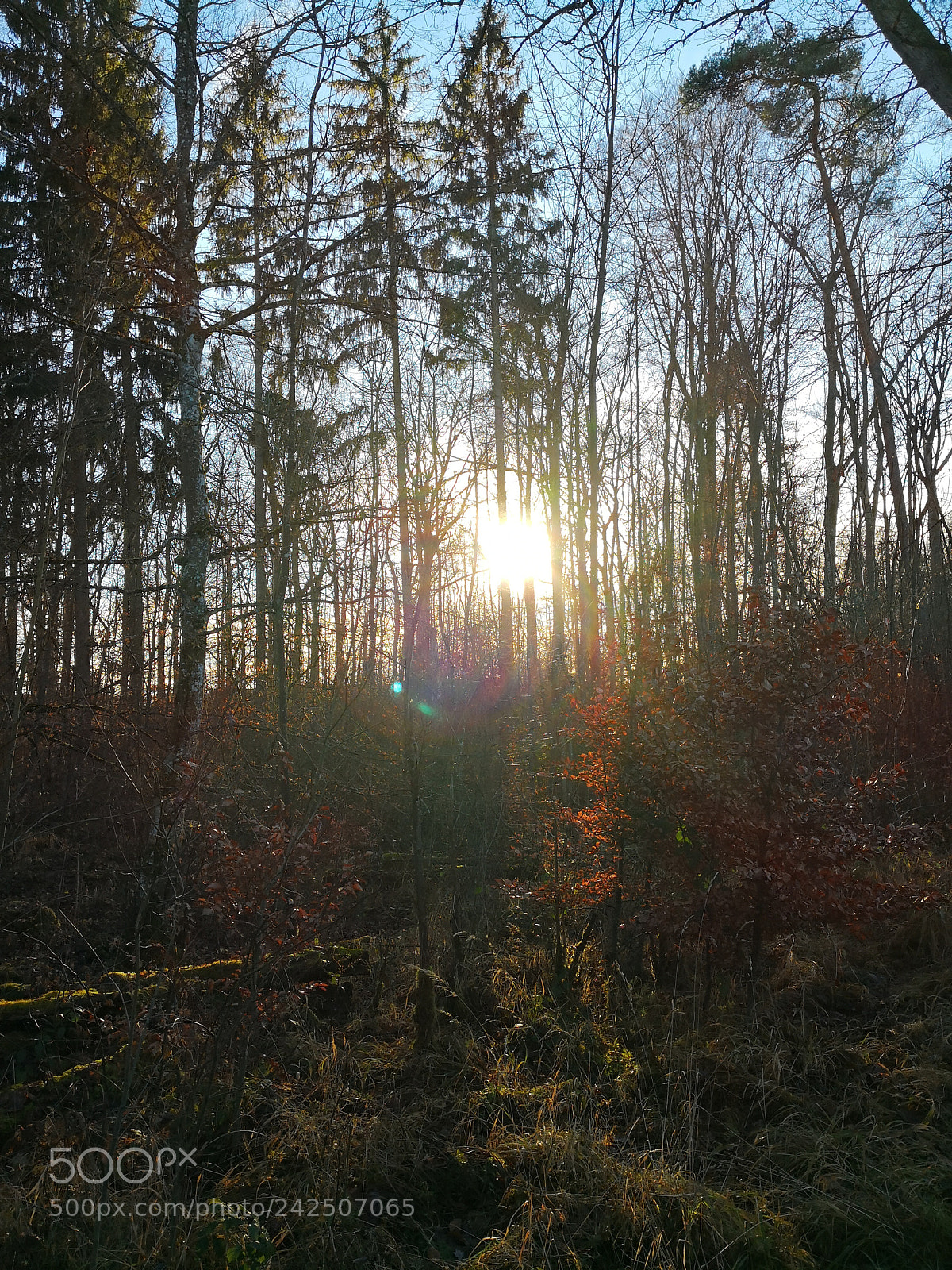 HUAWEI Mate 10 Pro sample photo. Untitled photography