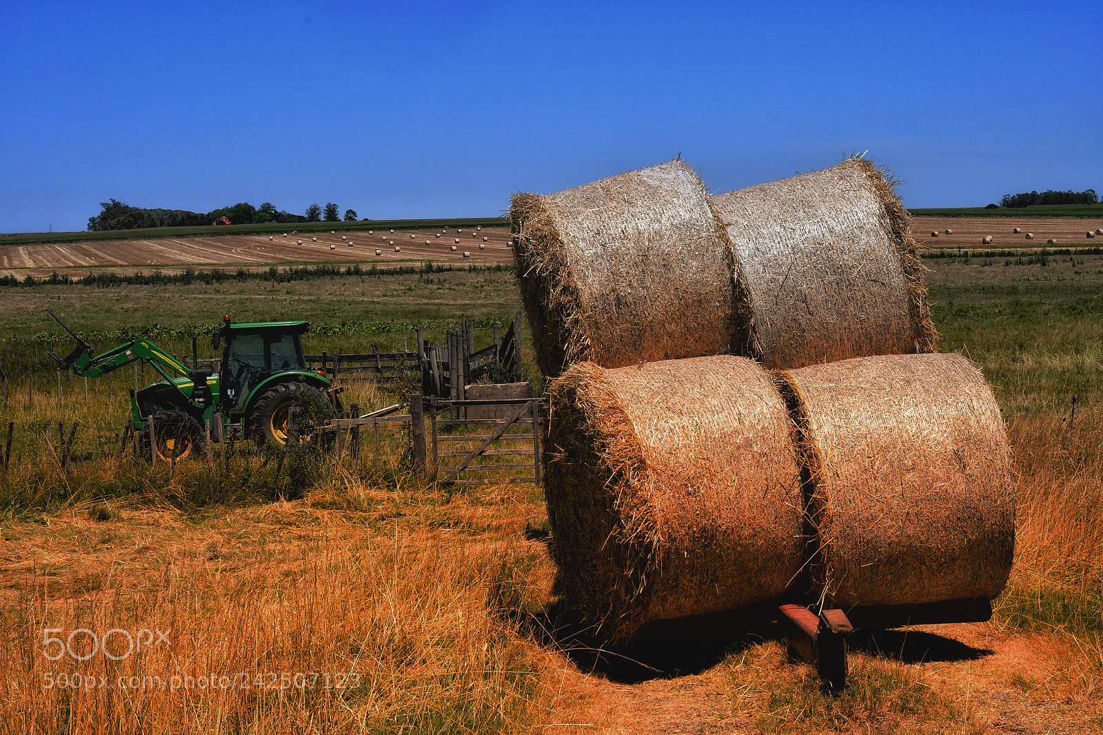 Nikon D500 sample photo. Hay photography