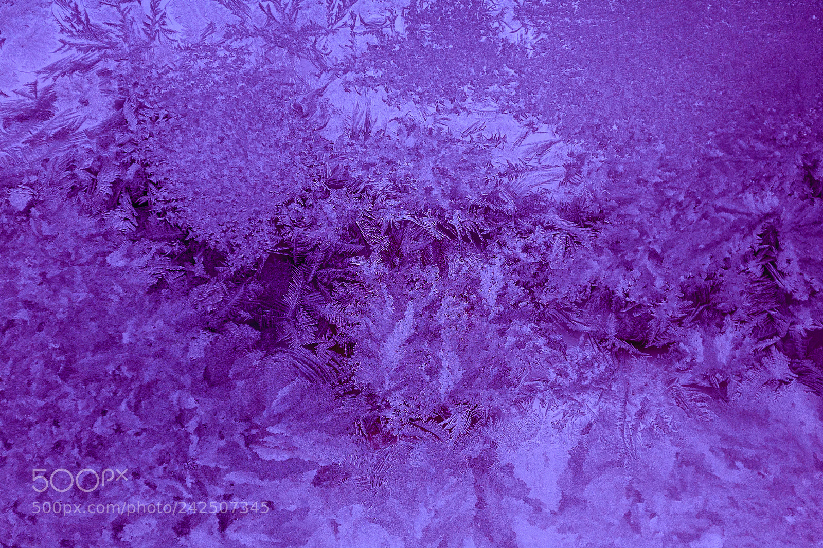 Canon EOS 5D sample photo. Abstraction photography frost texture photography