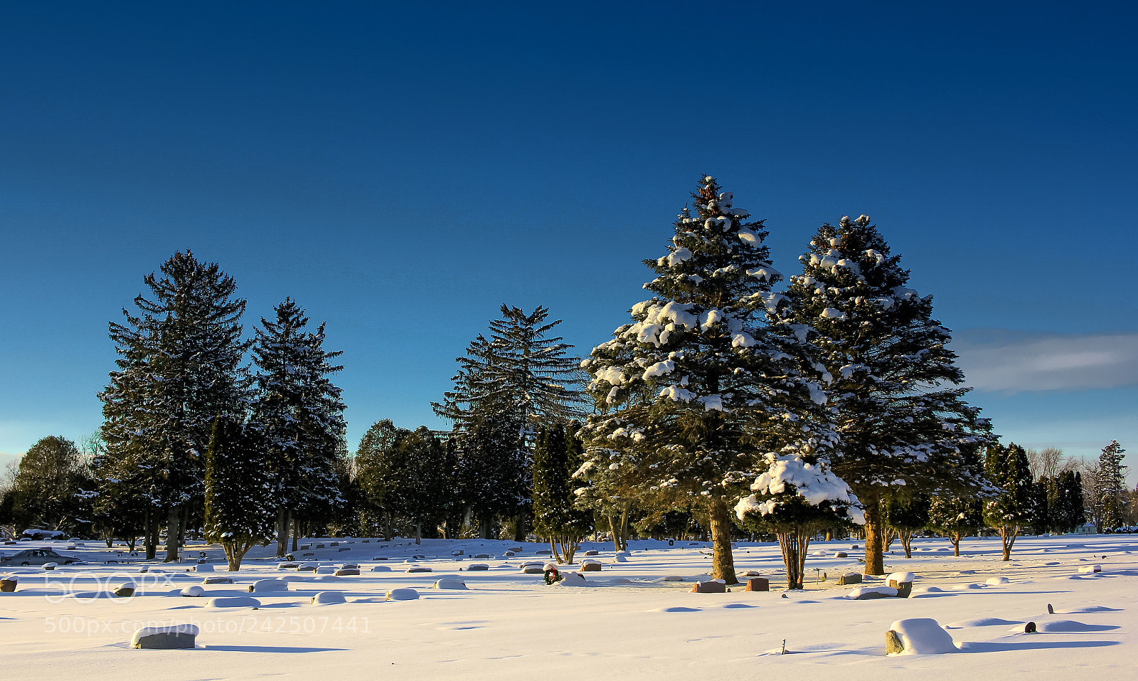 Canon EOS 60D sample photo. Cold as death photography