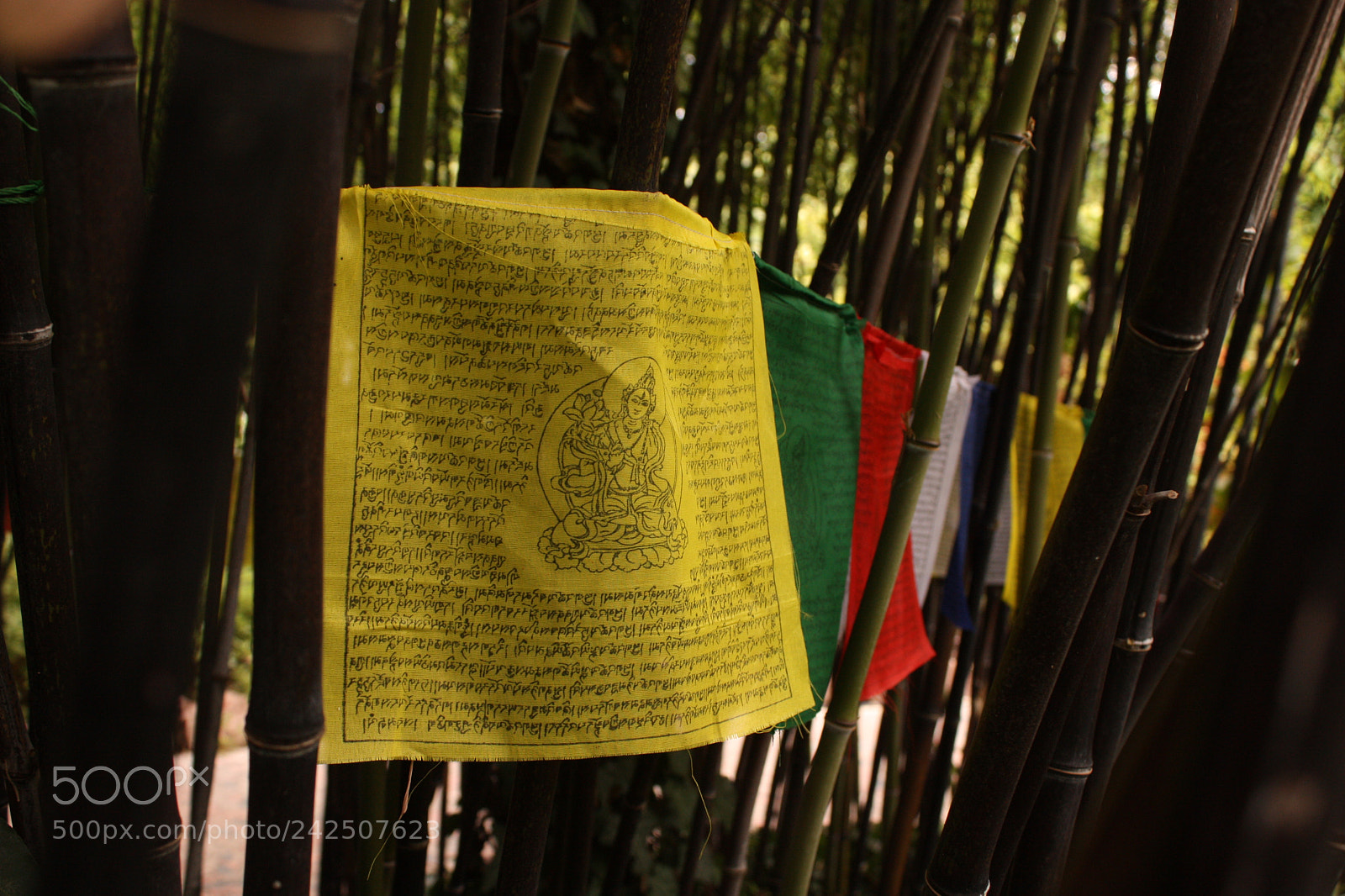 Canon EF-S 18-55mm F3.5-5.6 IS sample photo. Colorful prayer photography