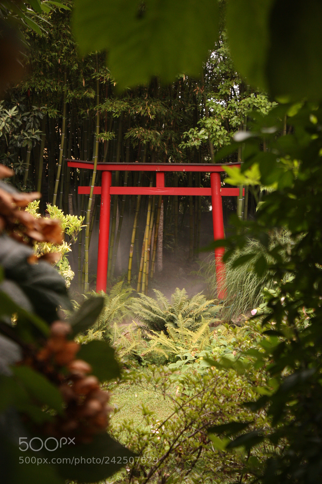 Canon EF-S 18-55mm F3.5-5.6 IS sample photo. Secret gate photography