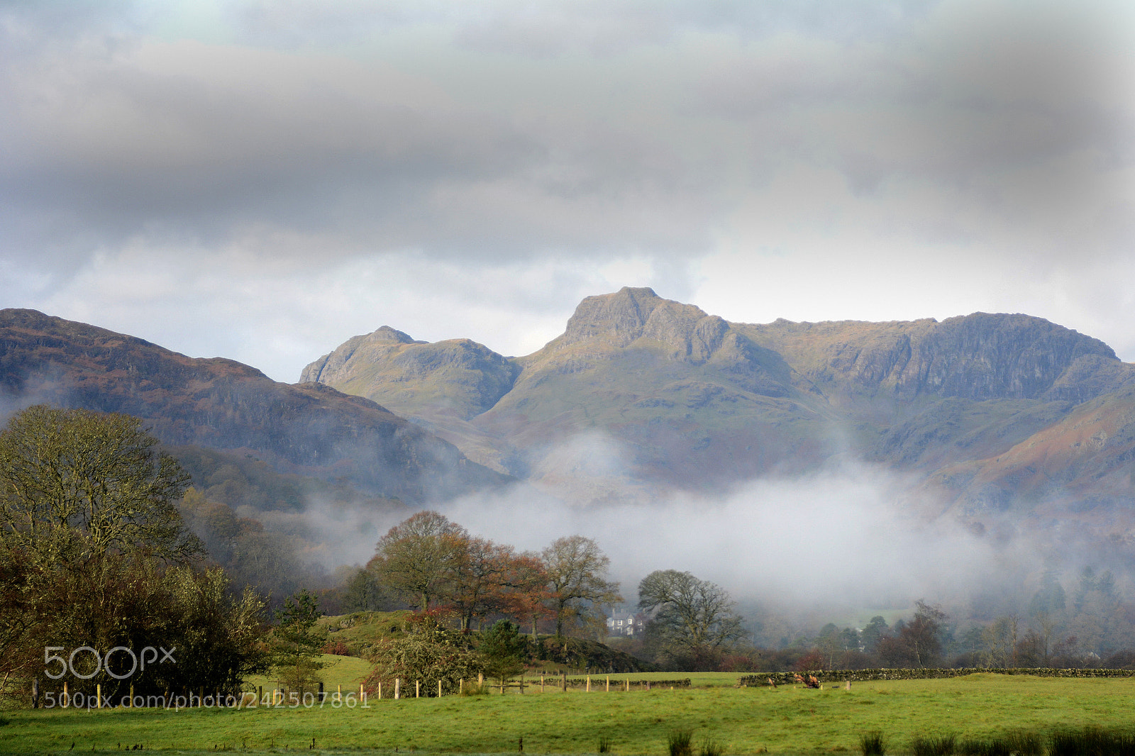 Nikon D7100 sample photo. Pmp_0150-1.jpg photography