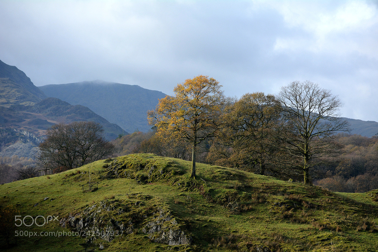 Nikon D7100 sample photo. Pmp_0168-1.jpg photography