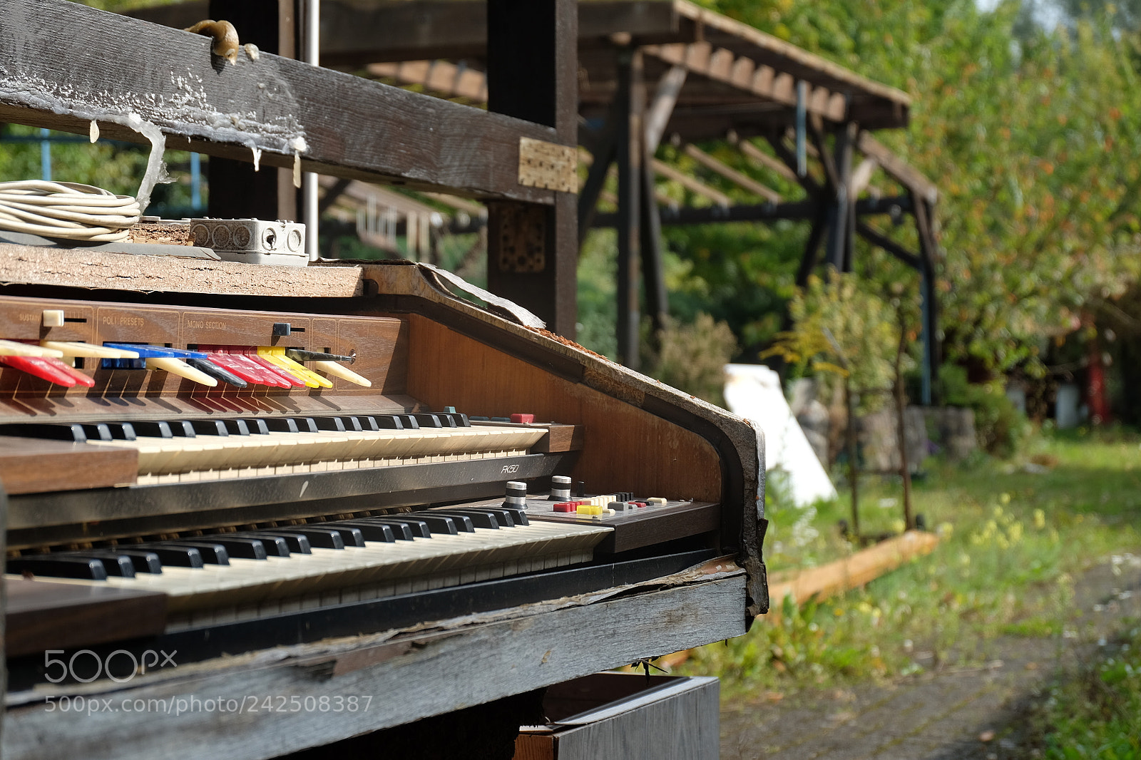 Fujifilm X-T10 sample photo. Lobe keyboard photography
