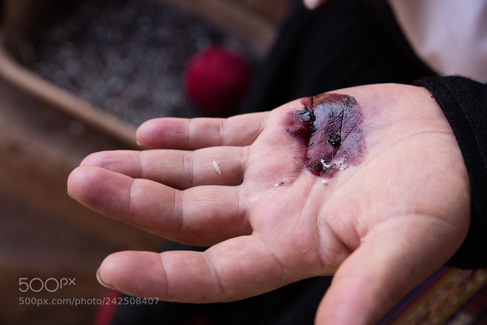 Canon EOS 5DS R sample photo. Cottony cushion scale photography