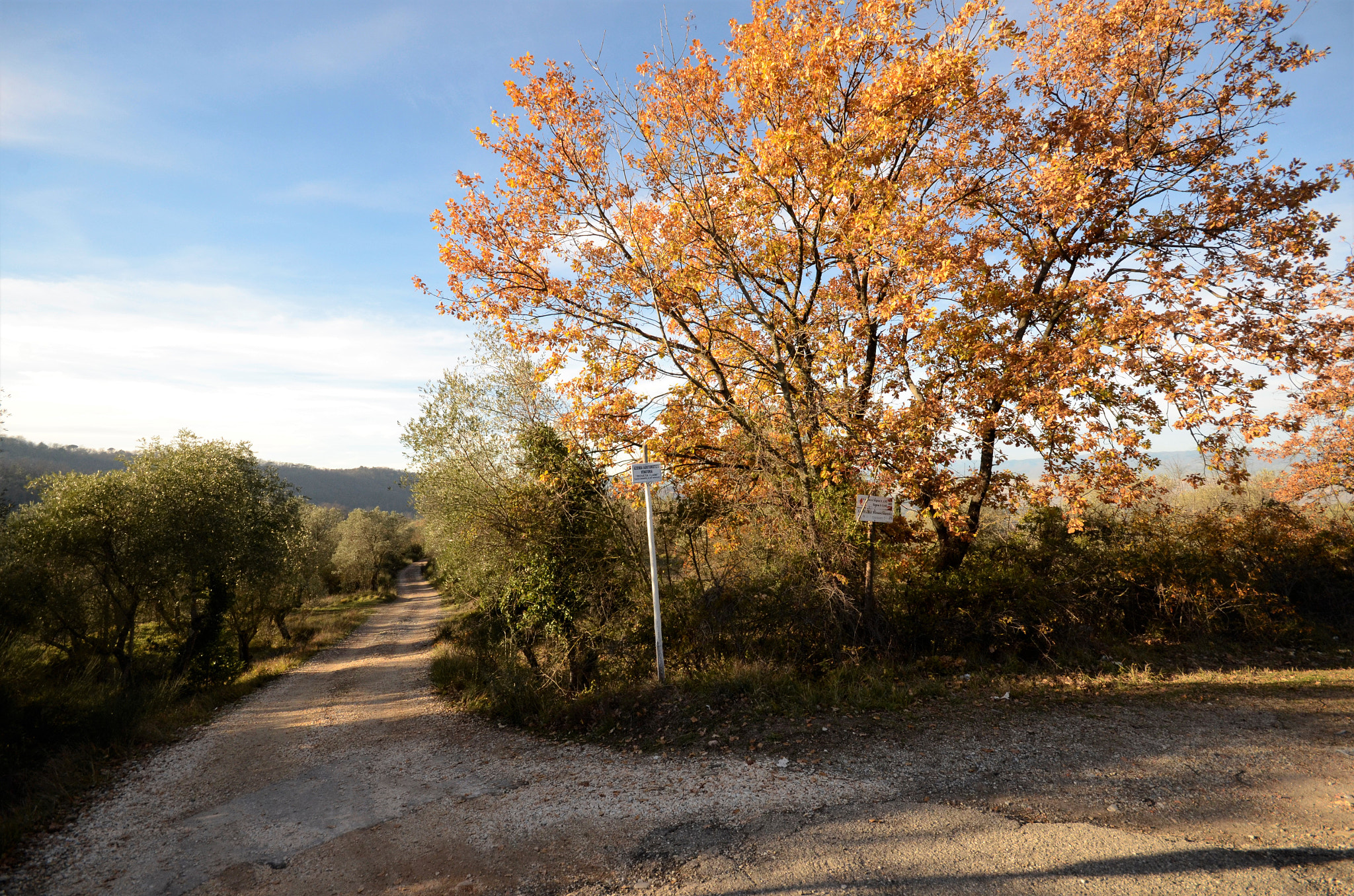 Sigma 10-20mm F4-5.6 EX DC HSM sample photo. Colori d' autunno photography