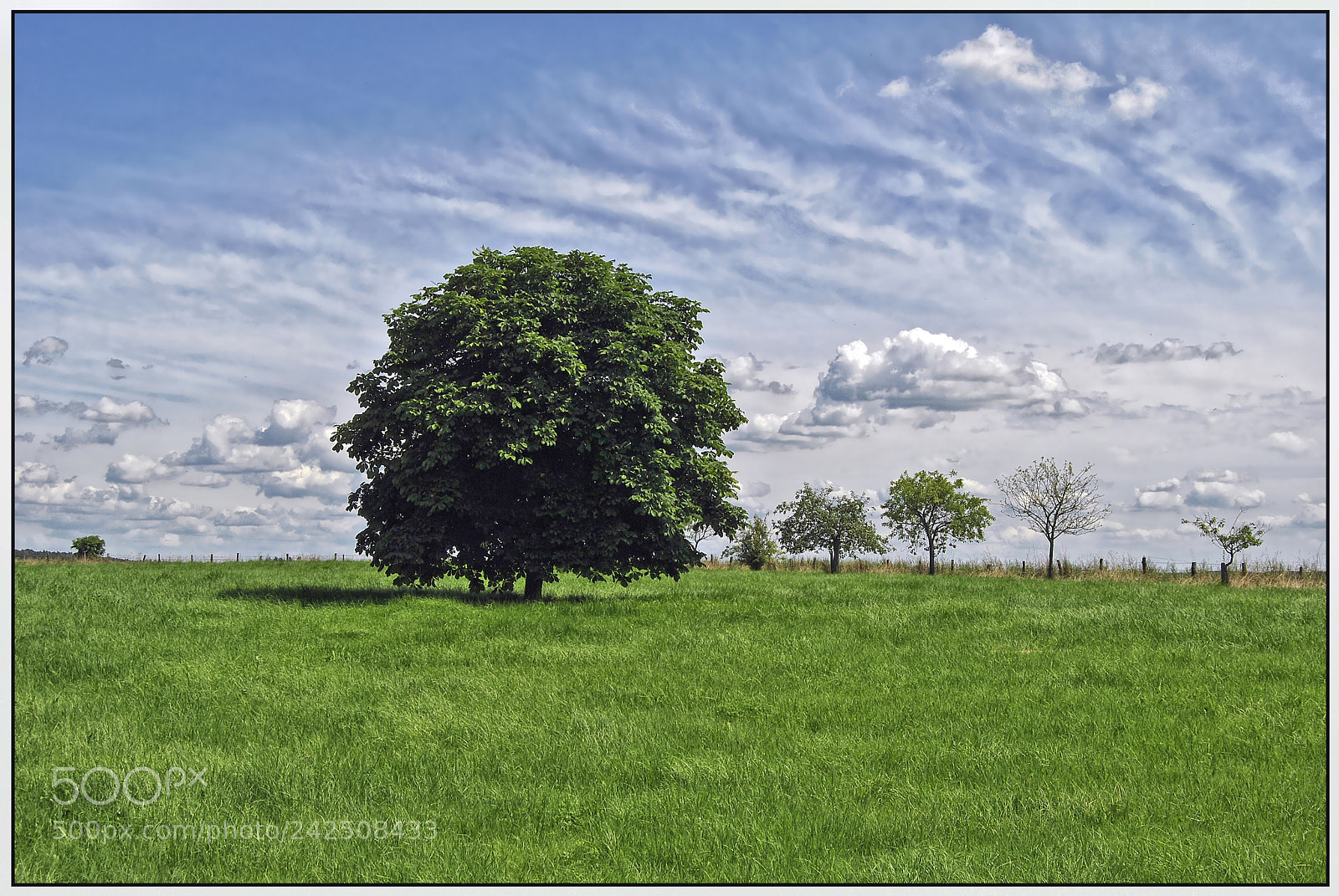 Nikon D3000 sample photo. …clouds idylls – ii... photography