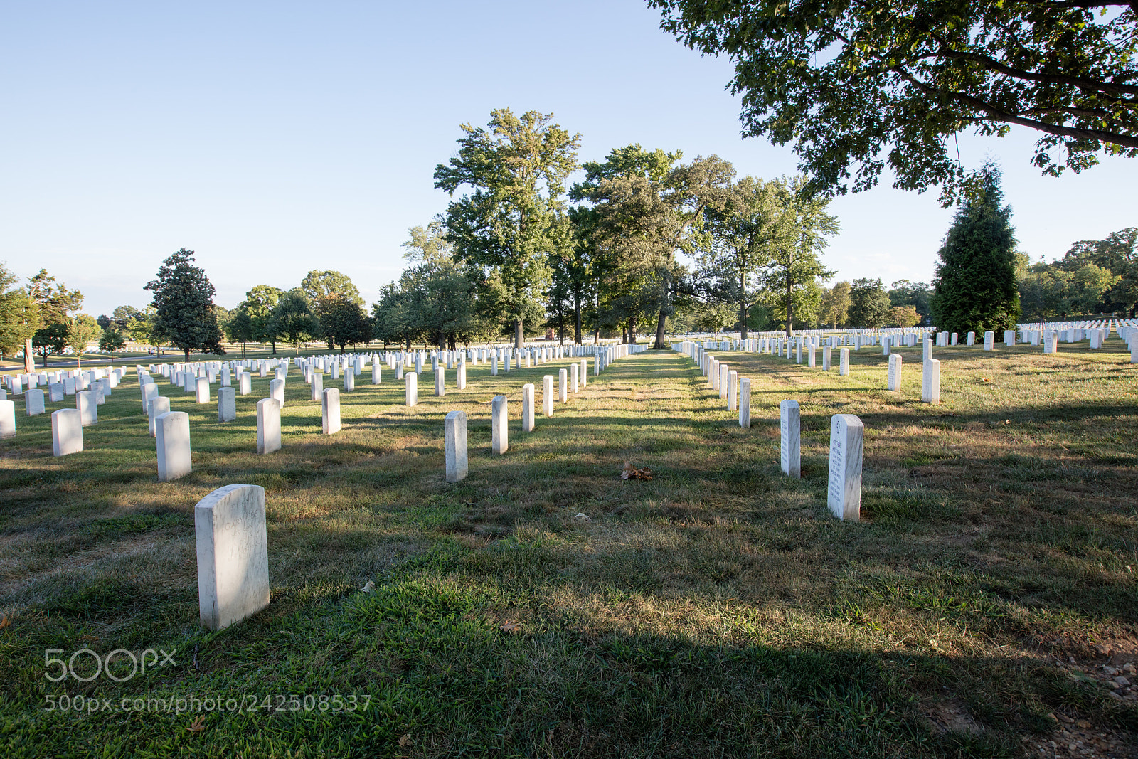 Canon EOS 5DS R sample photo. Arlington cemetery, washington photography