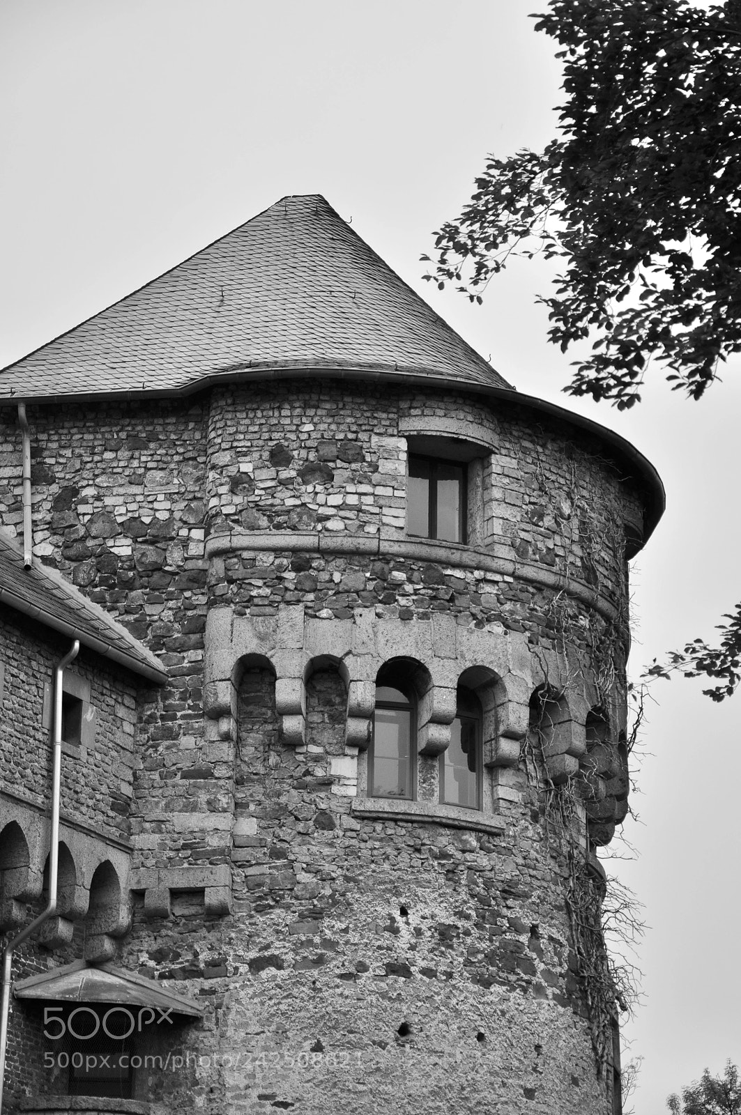 Nikon D90 sample photo. An old castle photography
