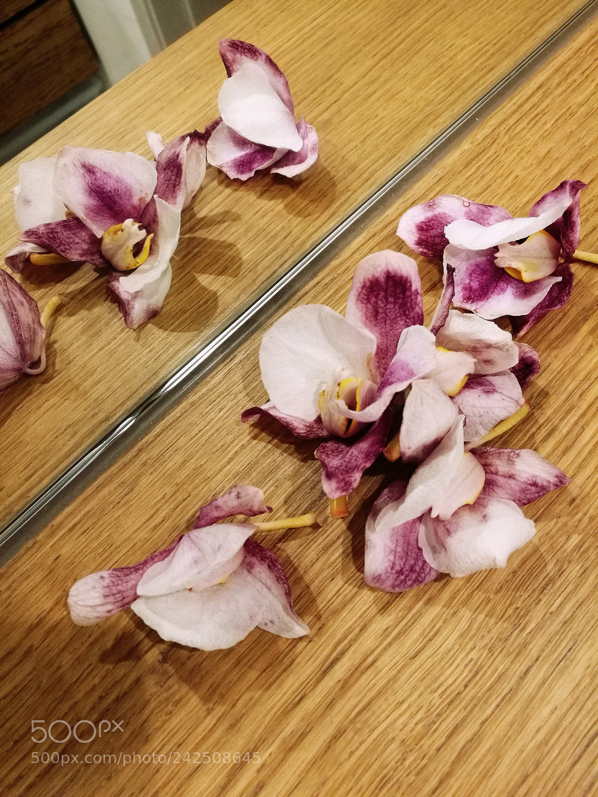 HUAWEI P9 sample photo. Mirror photography
