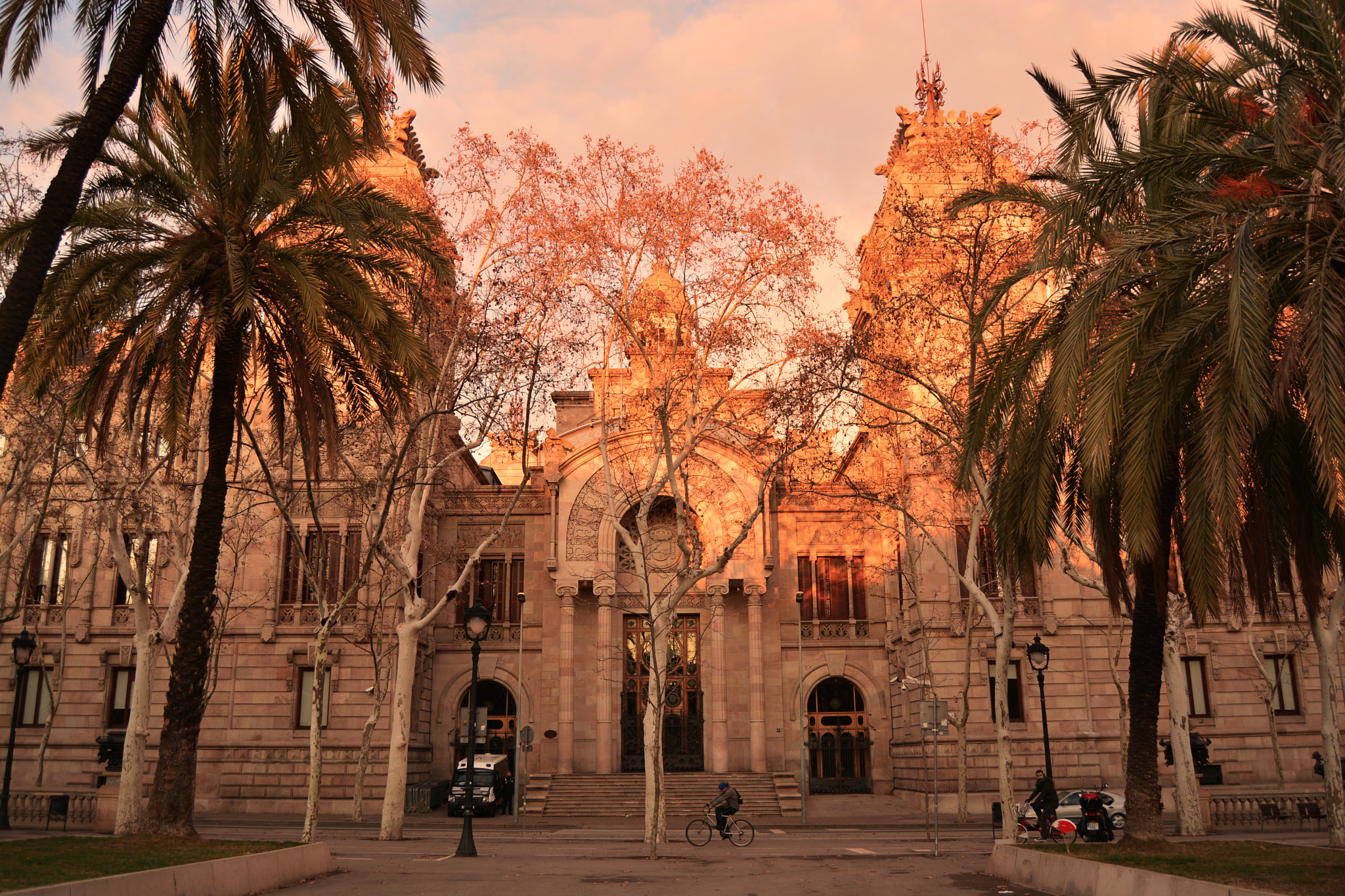 Nikon D7100 sample photo. Palmeras barcelonesas photography