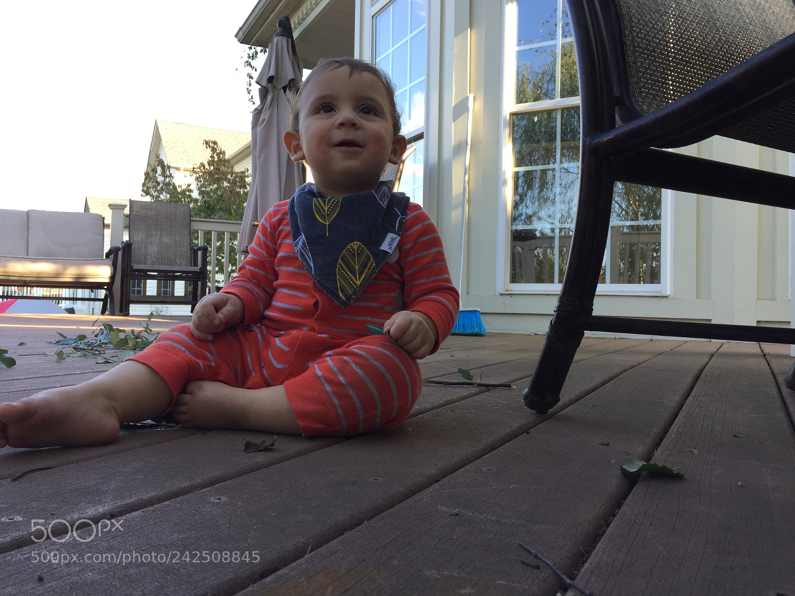 Apple iPhone 6 Plus sample photo. Untitled photography