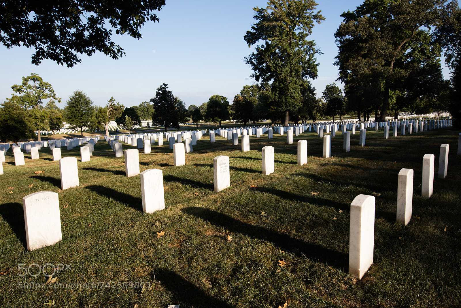 Canon EOS 5DS R sample photo. Arlington cemetery, washington photography