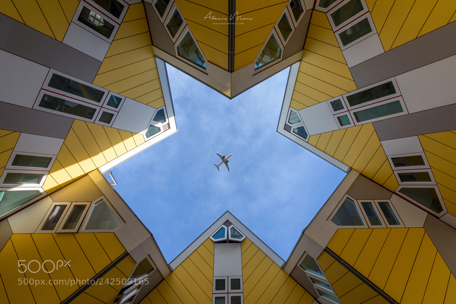 Nikon D7100 sample photo. Yellow korner photography