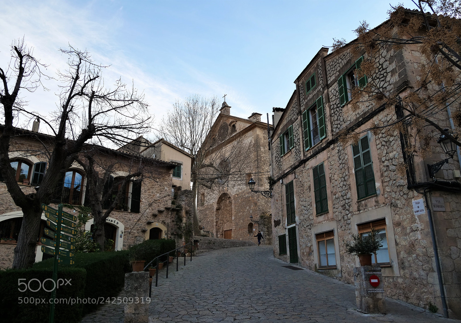 Panasonic Lumix DC-GH5 sample photo. Valldemossa photography