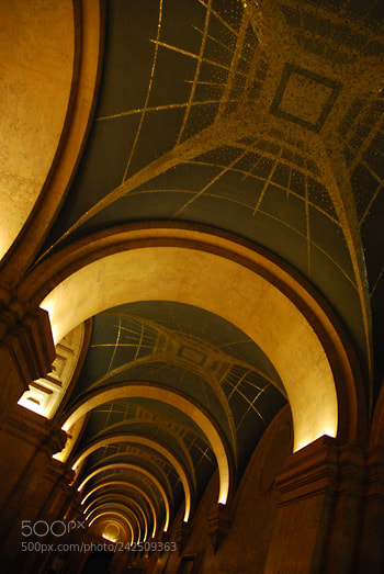 Nikon D60 sample photo. Td photography