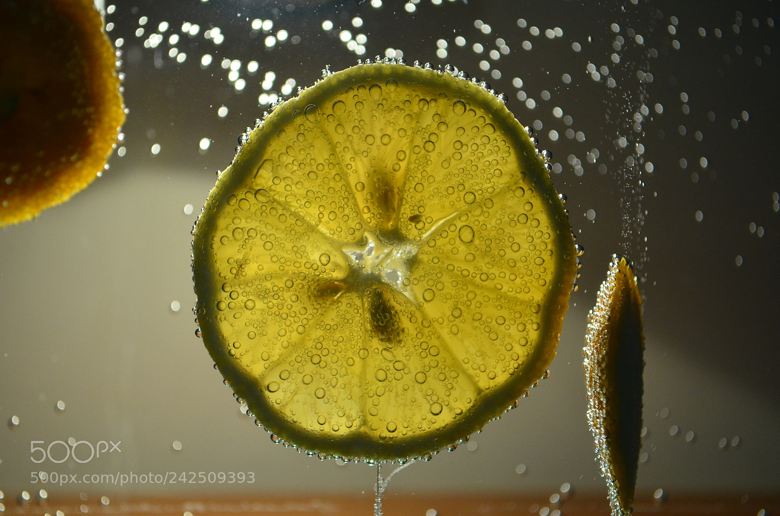Nikon D5100 sample photo. Untitled photography