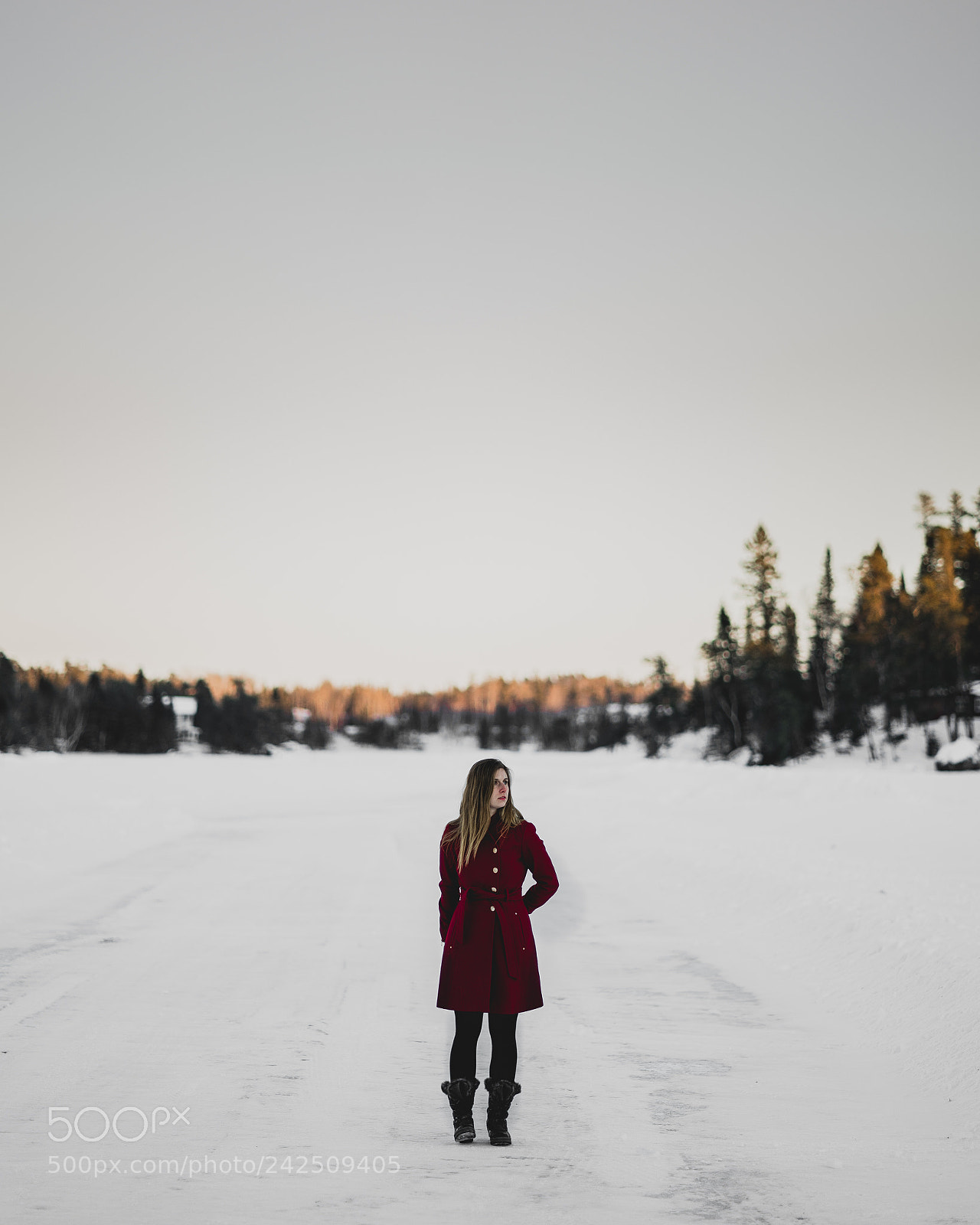Sony a7 II sample photo. Untitled photography