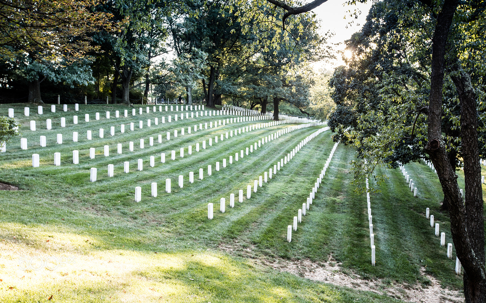Canon EOS 5DS R sample photo. Arlington cemetery, washington photography