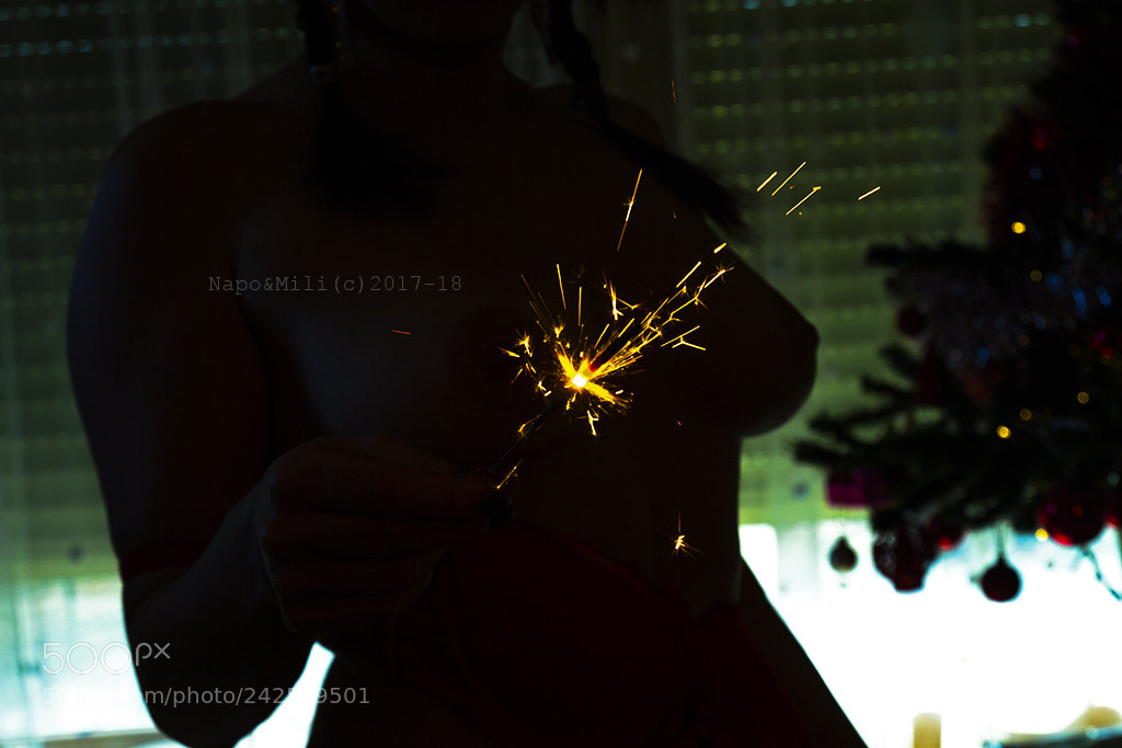 Canon EOS 60D sample photo. To the next year photography