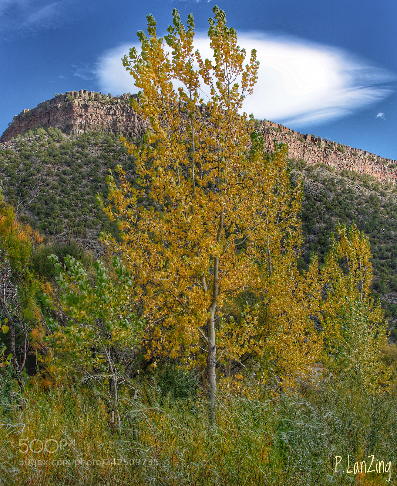 Nikon D810 sample photo. Autumn, along the rio photography