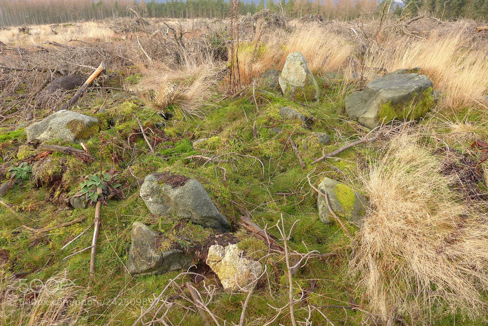 Panasonic Lumix DMC-LX7 sample photo. Cairn (?) on knockinlews photography